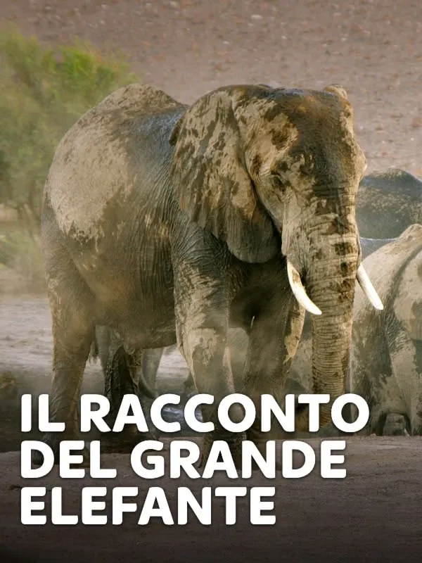 Il racconto del grande elefante
