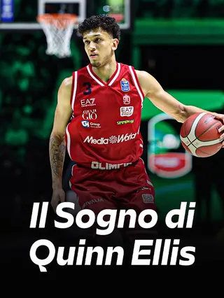 Il Sogno Di Quinn Ellis