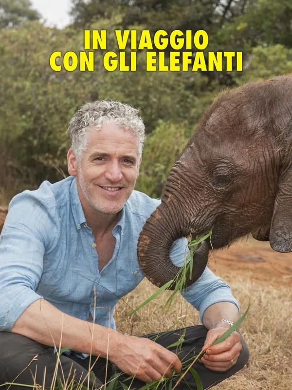 In viaggio con gli elefanti