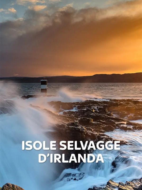 Isole selvagge d'Irlanda
