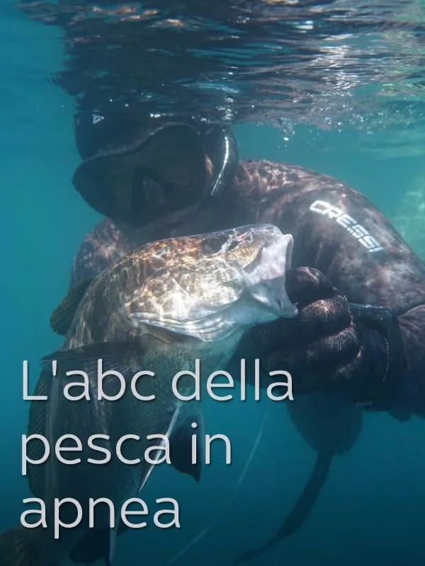 L'abc della pesca in apnea