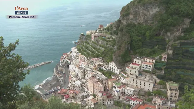 L'arca di Noe'