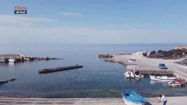 L'arca di Noe'