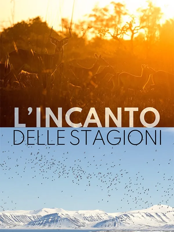 L'incanto delle stagioni