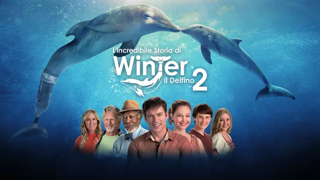 L'incredibile storia di Winter il delfino 2