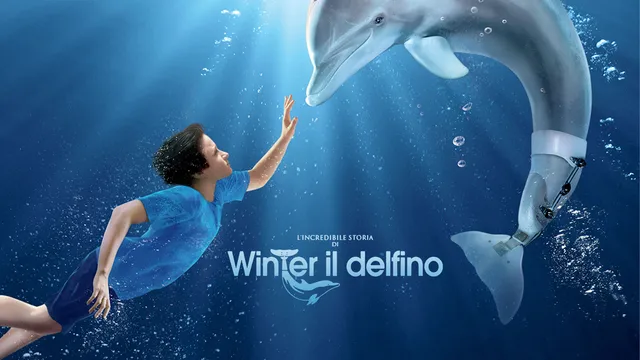 L'incredibile storia di Winter il delfino