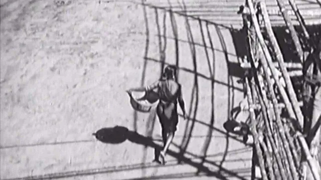 L'India vista da Rossellini