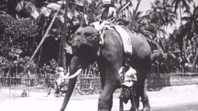 L'India vista da Rossellini