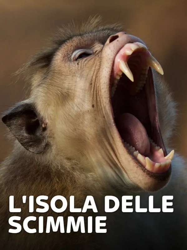 L'isola delle scimmie