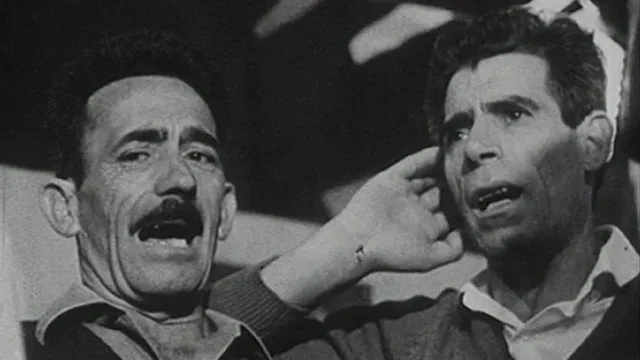 L'Italia dei dialetti - Dialetto lingua segreta
