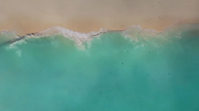 L' oceano indiano e le sue isole-simbolo