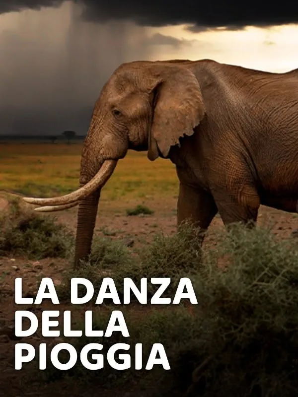 La danza della pioggia