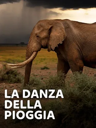 La danza della pioggia