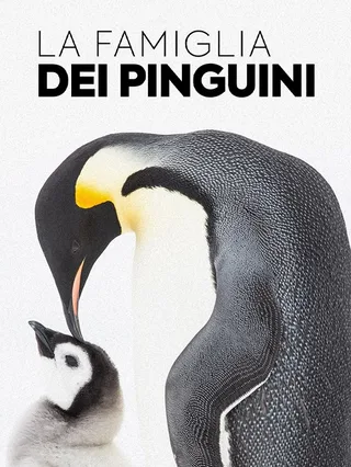 La Famiglia Dei Pinguini