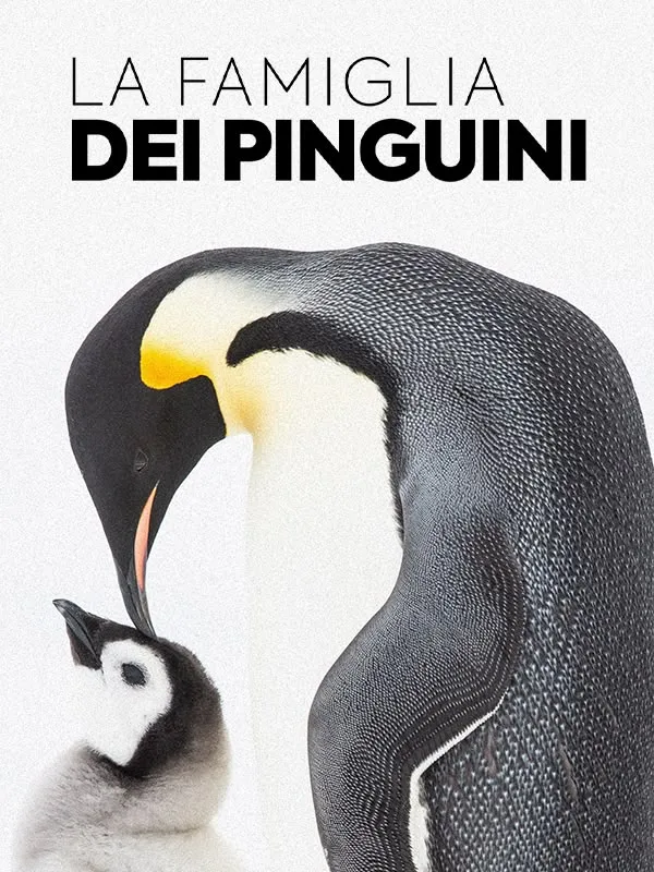 La Famiglia Dei Pinguini