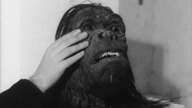 La maschera del Minotauro