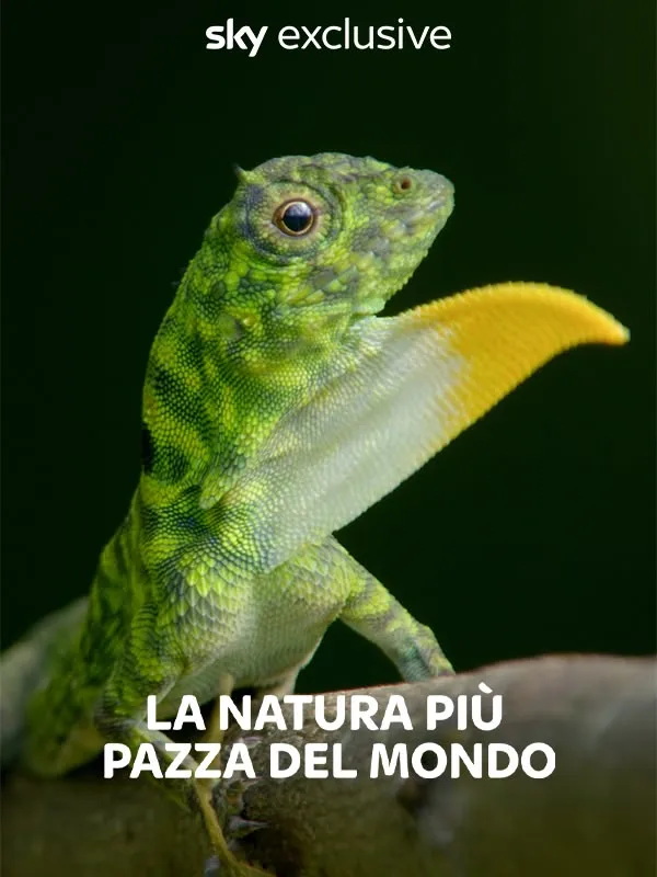La natura piu' pazza del mondo