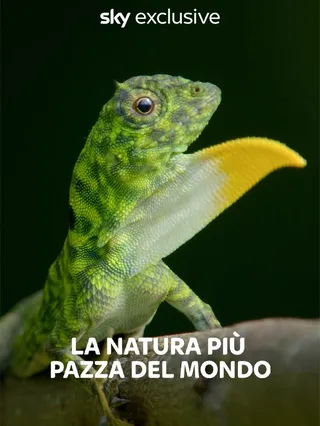 La natura piu' pazza del mondo