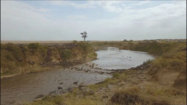 La nostra Africa: Professionisti della natura
