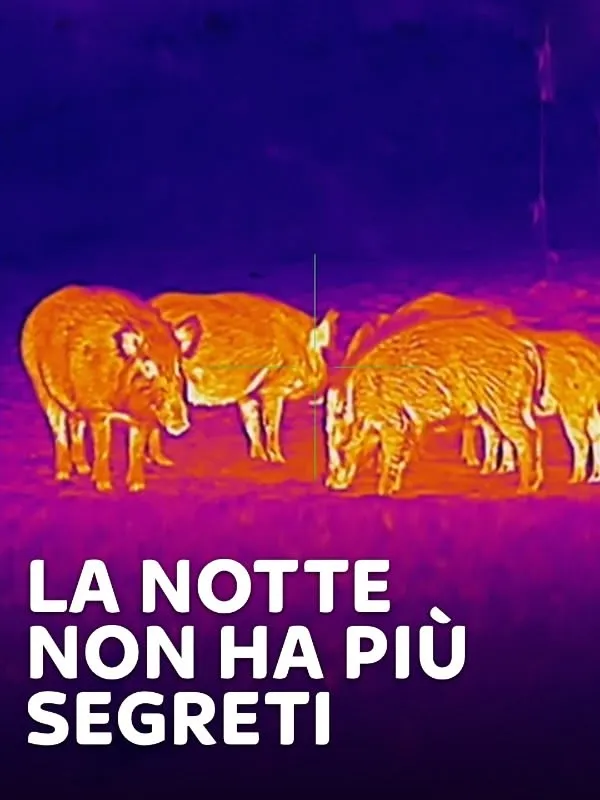La notte non ha piu' segreti