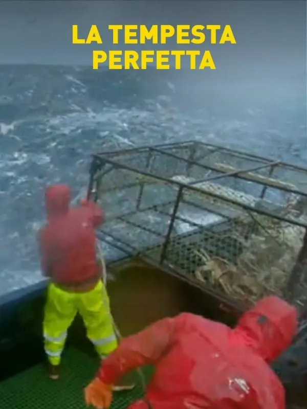 La tempesta perfetta