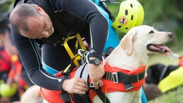 La vita segreta dei cani
