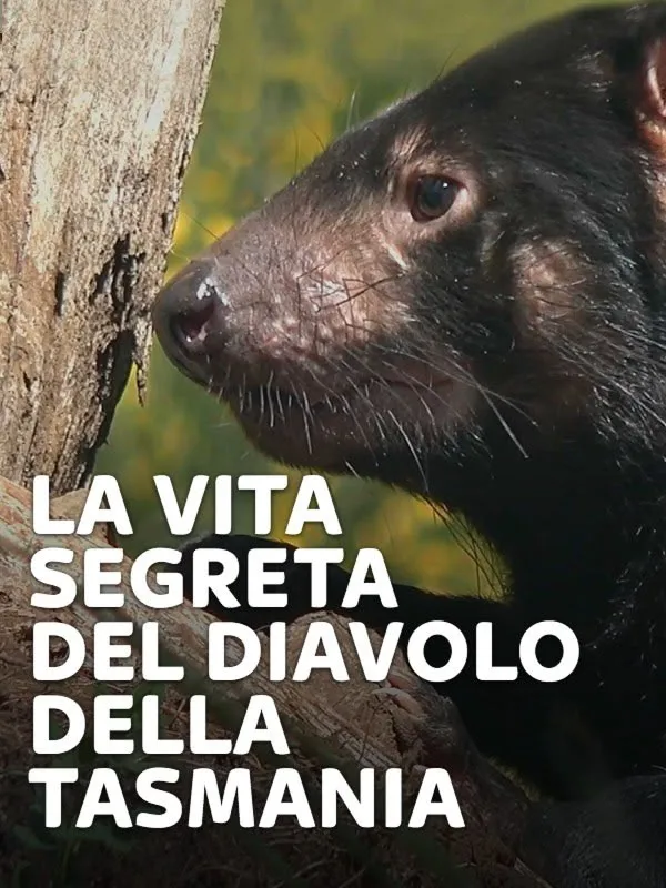 La vita segreta del Diavolo della...