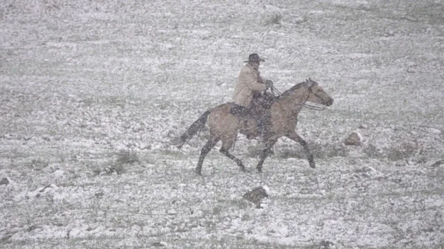 Lake Ranch Italian Cowboys