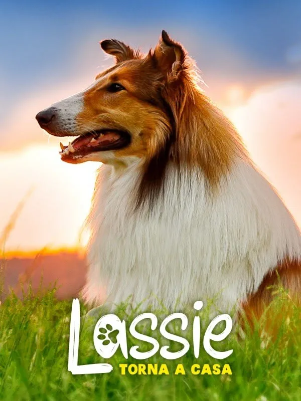 Lassie torna a casa