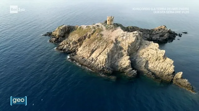 Le nuvole e lo sparviero - Geo