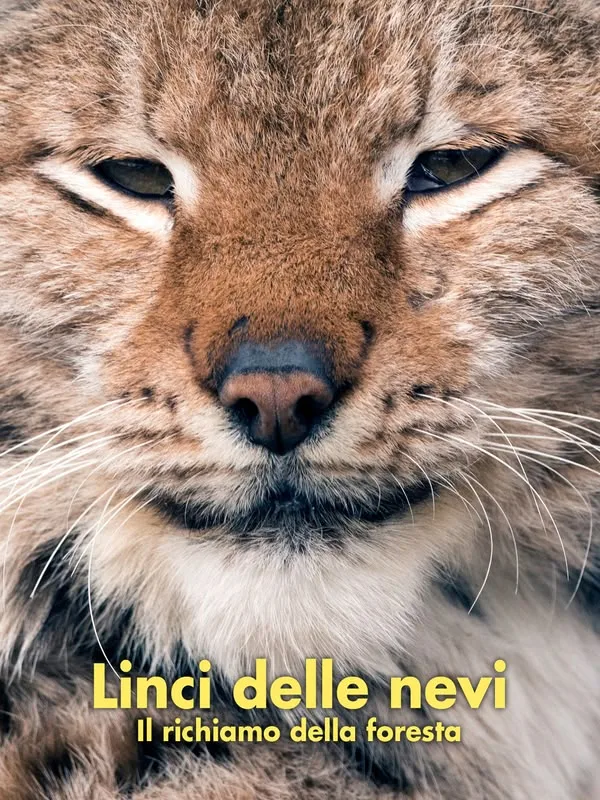 Linci delle nevi: Il richiamo della...