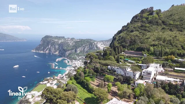 Linea Verde Italia