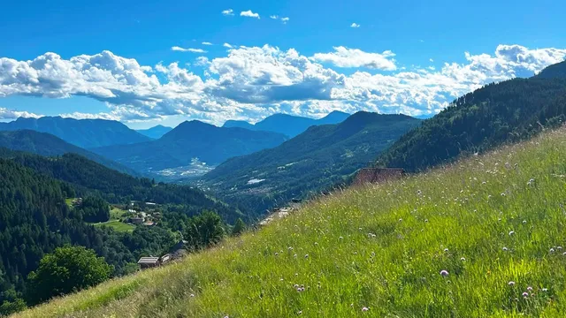 Linea Verde Trentino - Sulle tracce dei giganti
