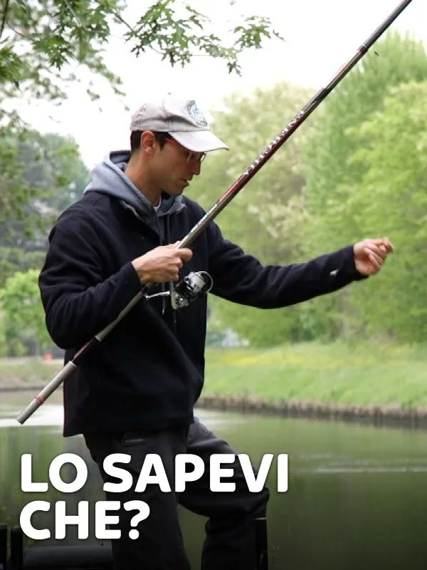 Lo sapevi che? 1
