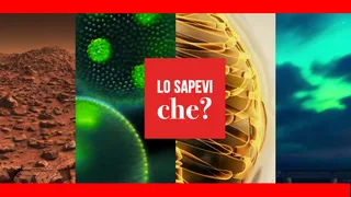 Lo sapevi che?