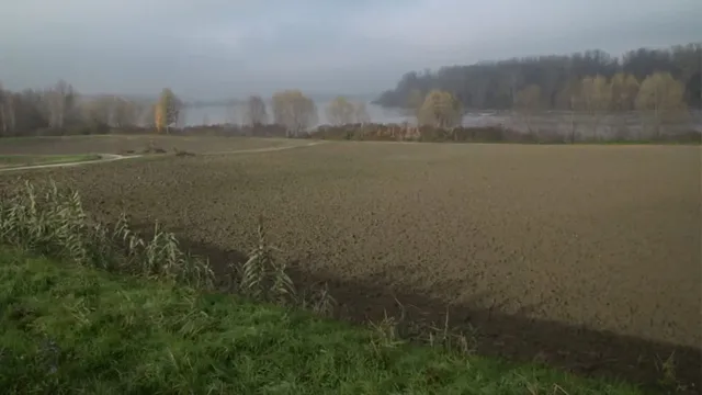Lungo il fiume e sull'acqua