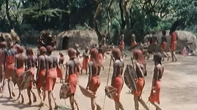 Mal d'Africa
