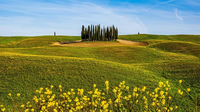 Maremma