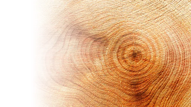 Materia Viva