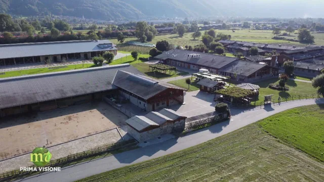 Melaverde