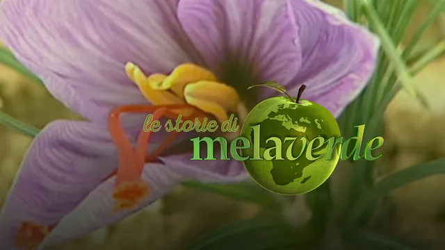 Melaverde - Le storie