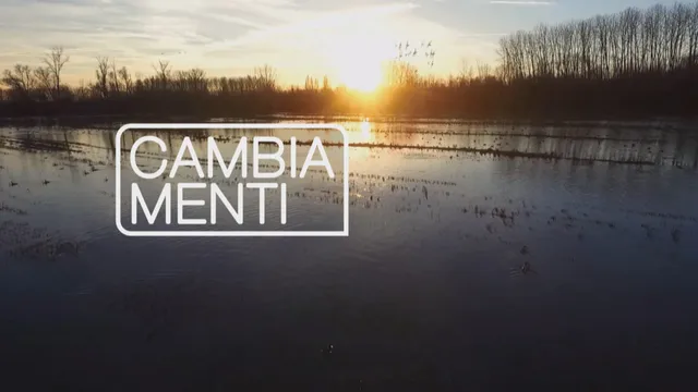 Memex CambiaMenti