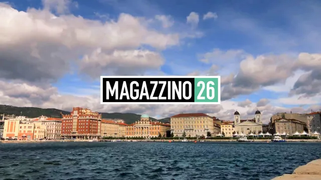 Memex Magazzino 26