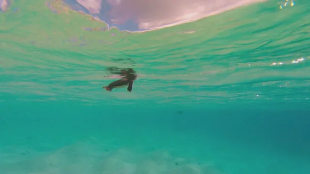 Meraviglie del Pacifico