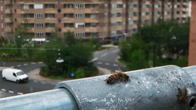 Meraviglie naturali della Danimarca