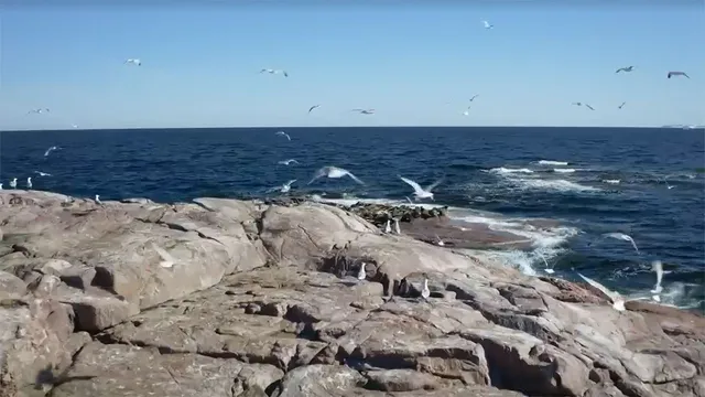 Meraviglie naturali della Danimarca