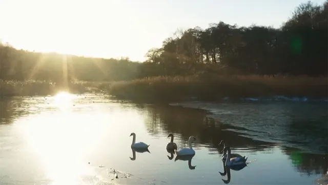 Meraviglie naturali della Danimarca