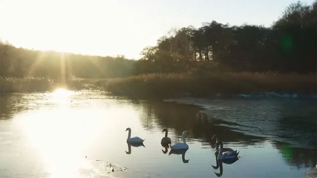Meraviglie naturali della Danimarca
