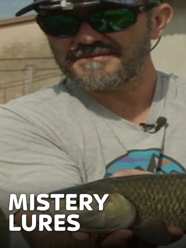 Mistery Lures 1