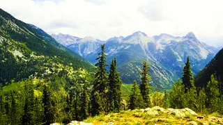Nati sulle Montagne Rocciose Primi